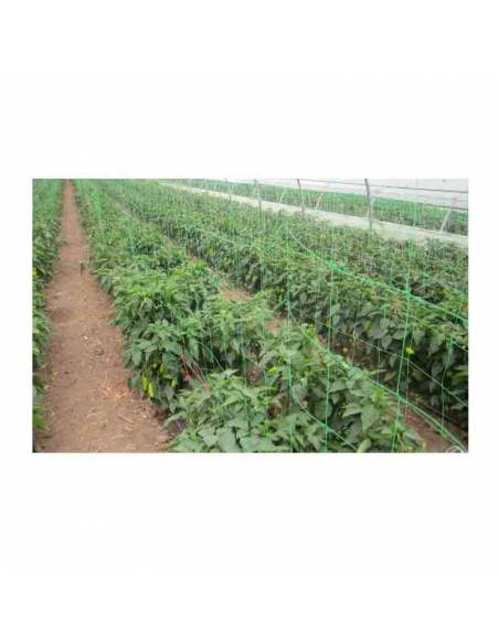 PLASA PENTRU PLANTE OCHI 150 X 150 MM / 5 M